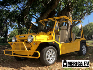 golf cart financing, stuart golf cart financing, easy cart financing